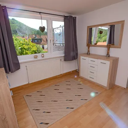 Bergblick -keine Monteure- * Goslar