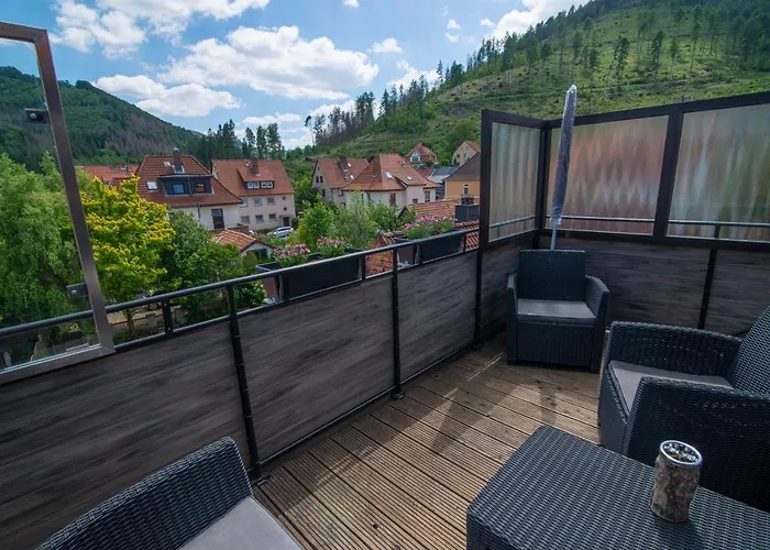 Bergblick -keine Monteure- Goslar